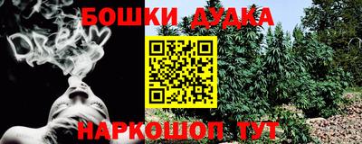 гашик Пыть-Ях