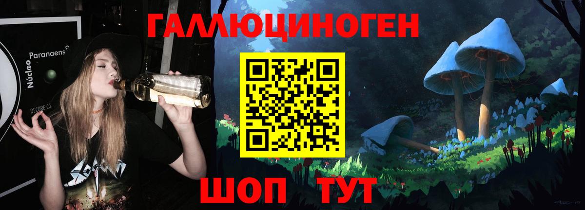 Галлюциногенные грибы Psilocybe Санкт-Петербург